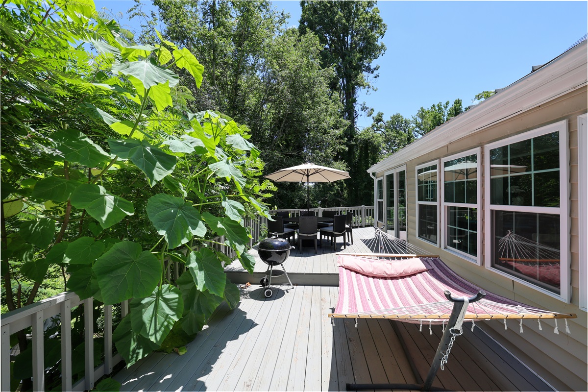 Relax on the Back Deck with river views