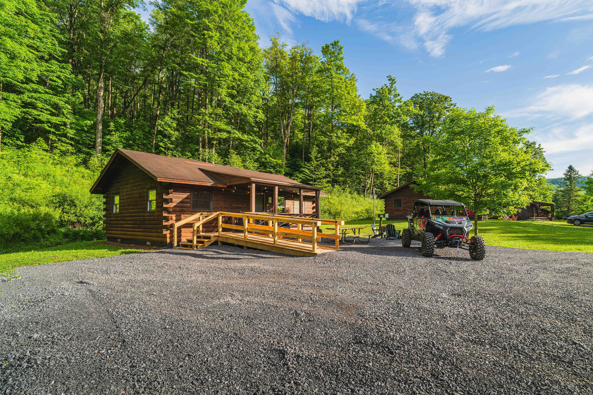 🌲 Acres of trees, sky, and quiet — the forest reset you came for.