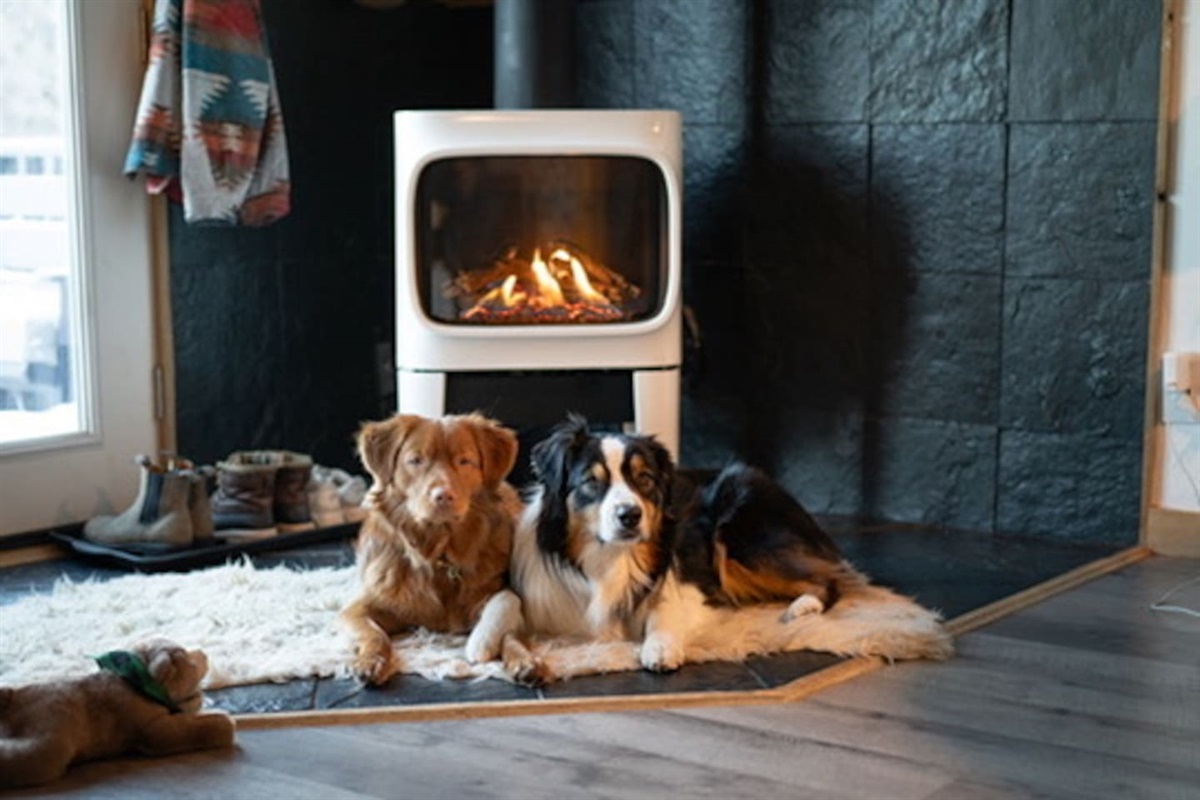 We all love the cozy gas fireplace