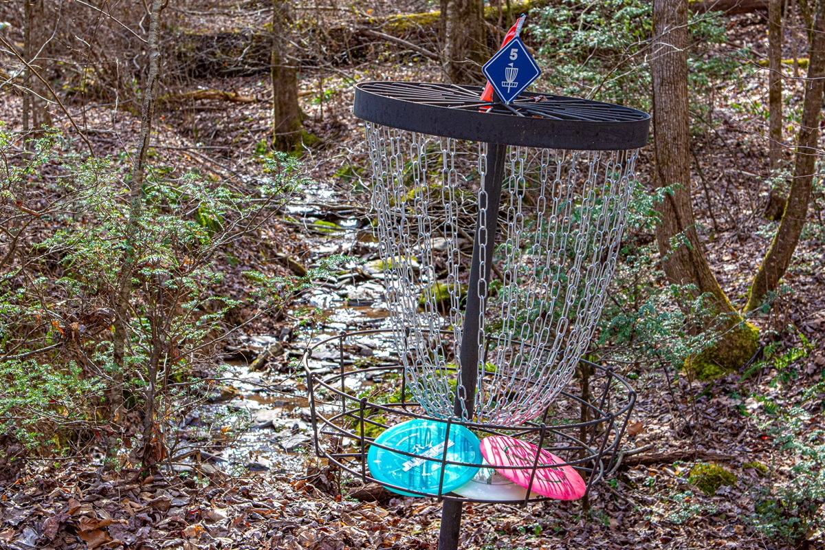 5 Course Disc Golf