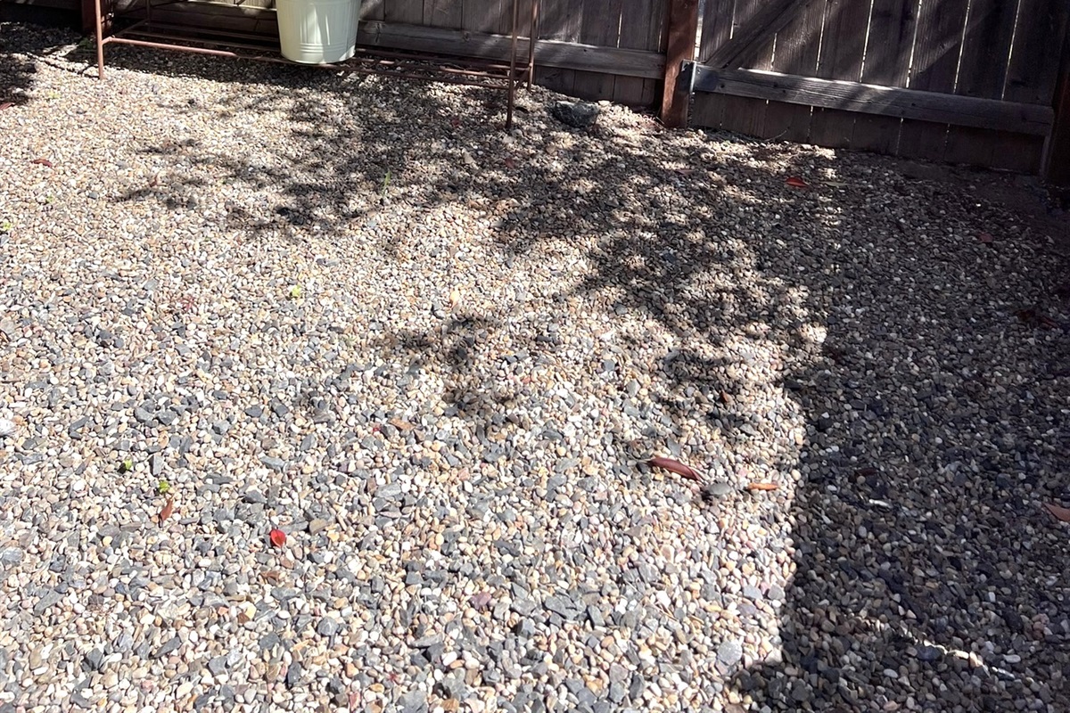 Small Fenced Yard