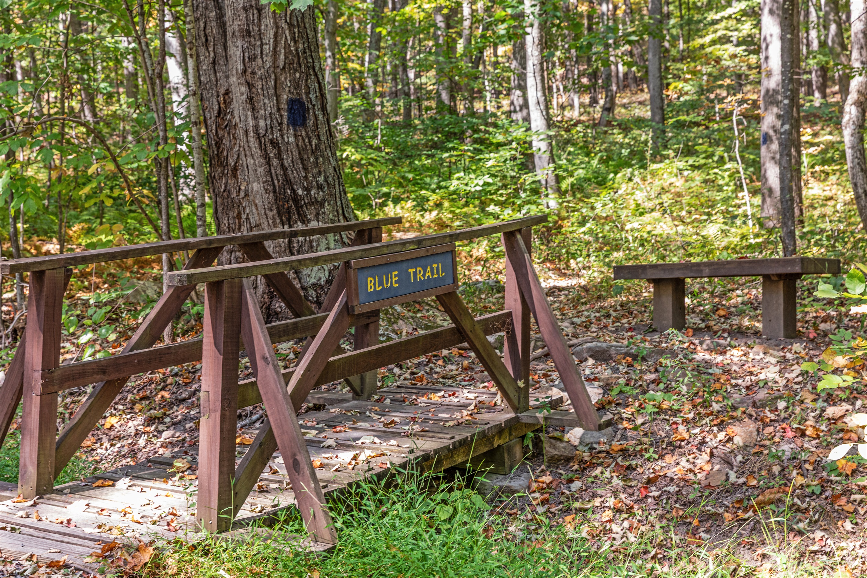 Trailheads in the community means adventure is always just a short walk away.