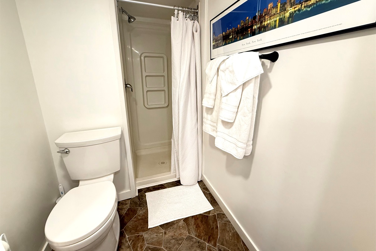 Clean, simple walk-in shower.