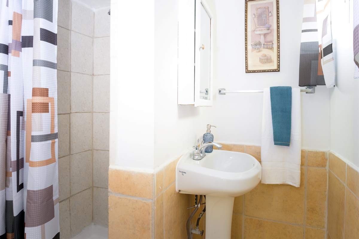 Bathroom with walk-in shower
