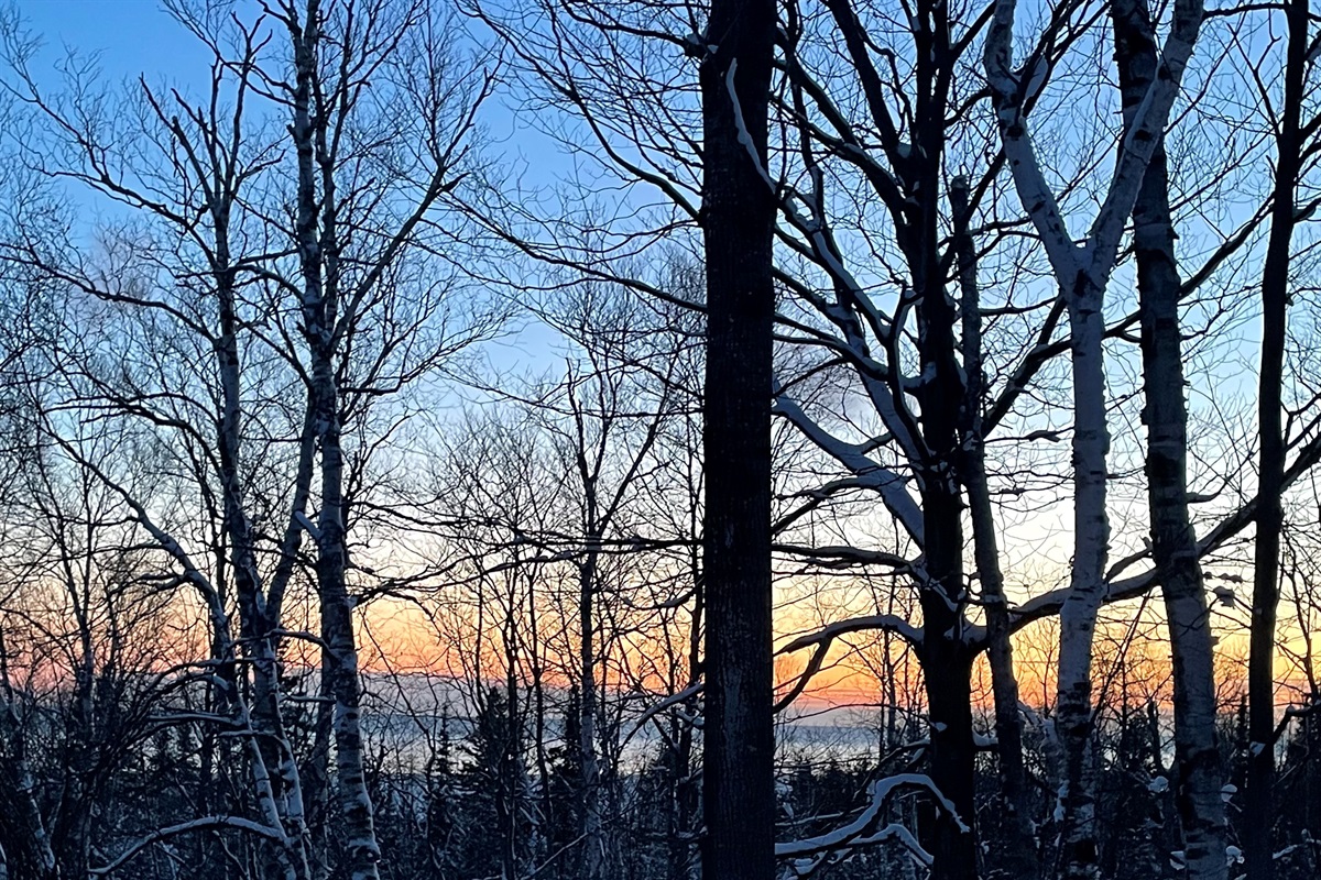 Winter view around the hot tub
