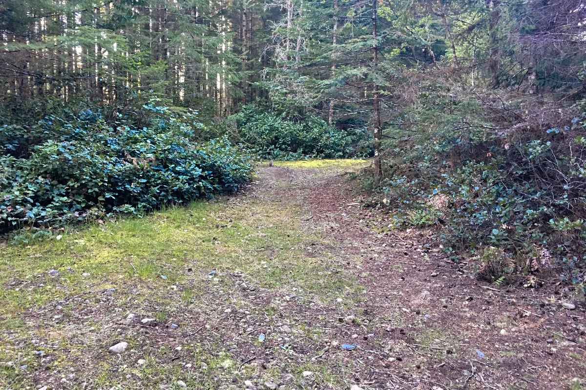 More Paths