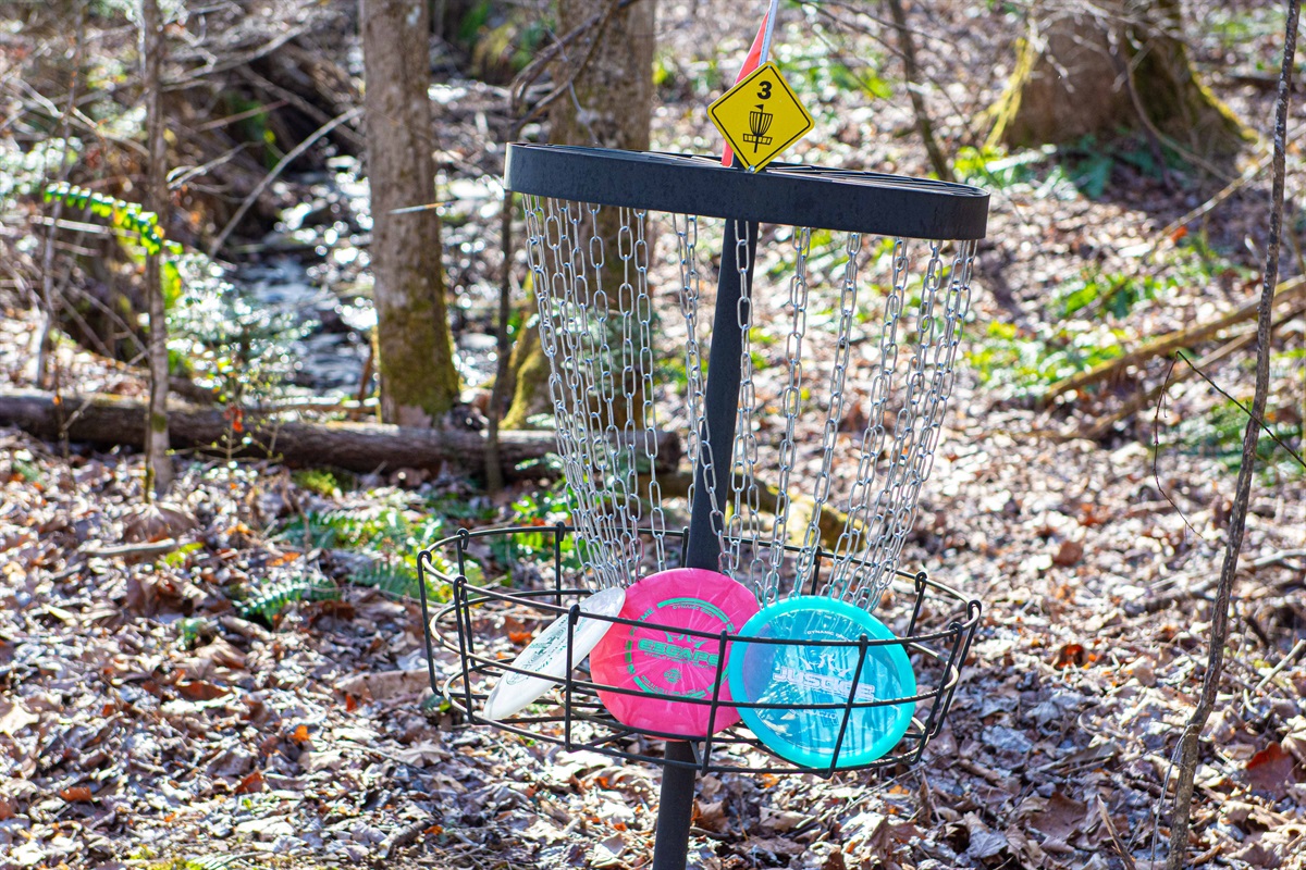 Disc Golf at the Creek