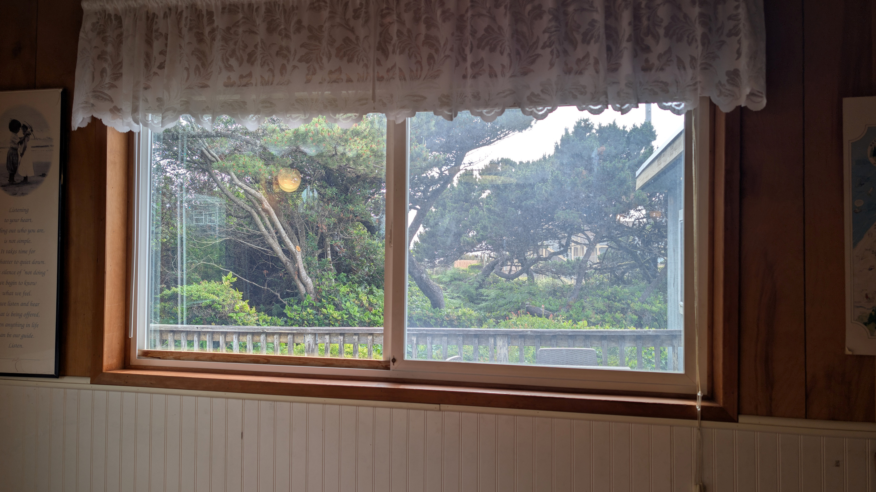 the ocean is behind those trees
