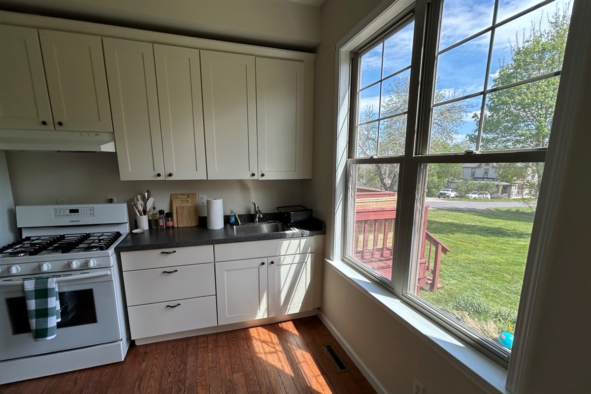 South-facing kitchen windows