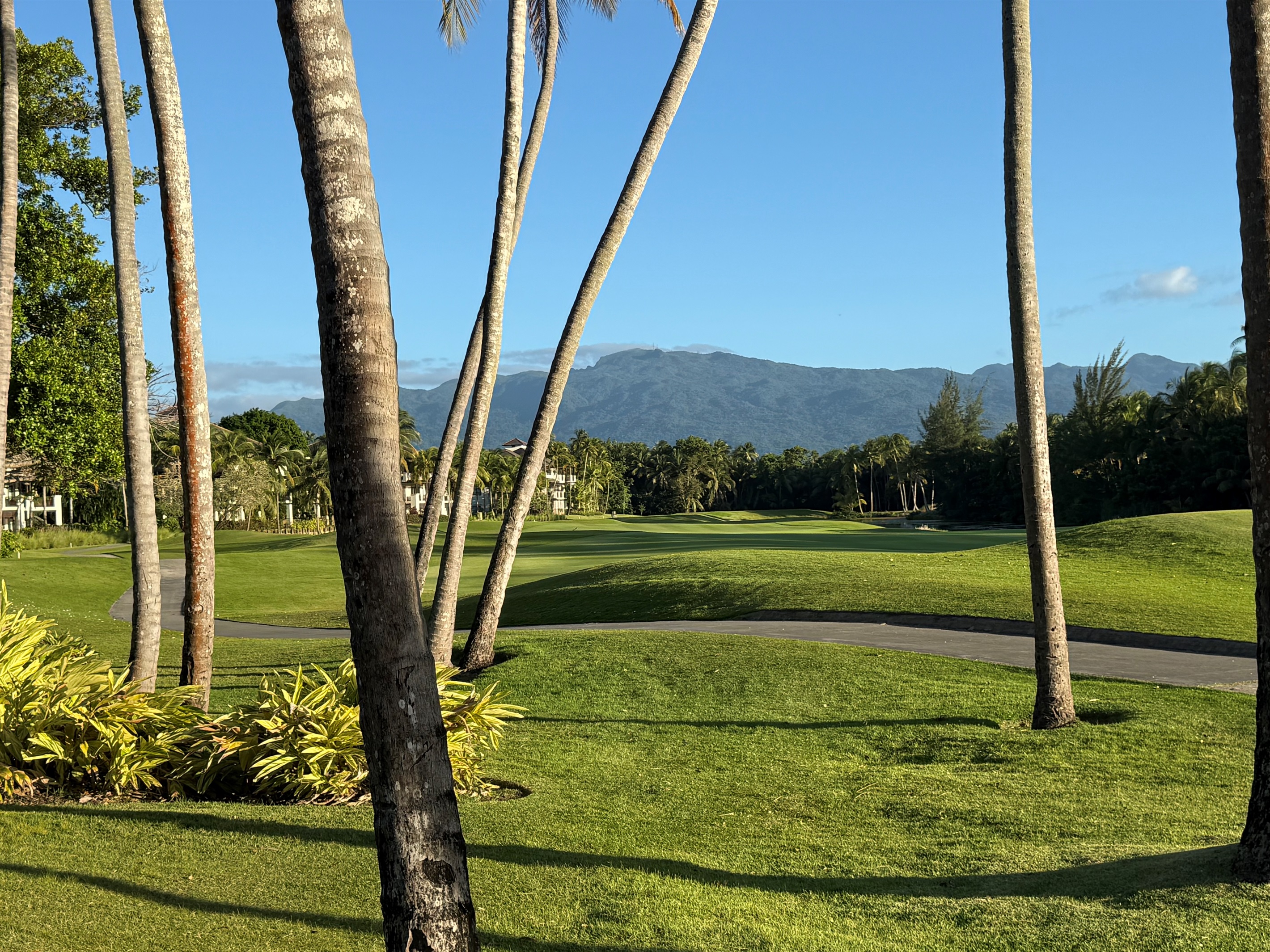 El Yunque Rainforest View