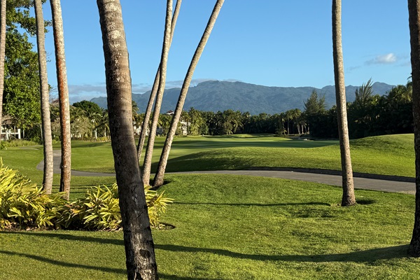 El Yunque Rainforest View