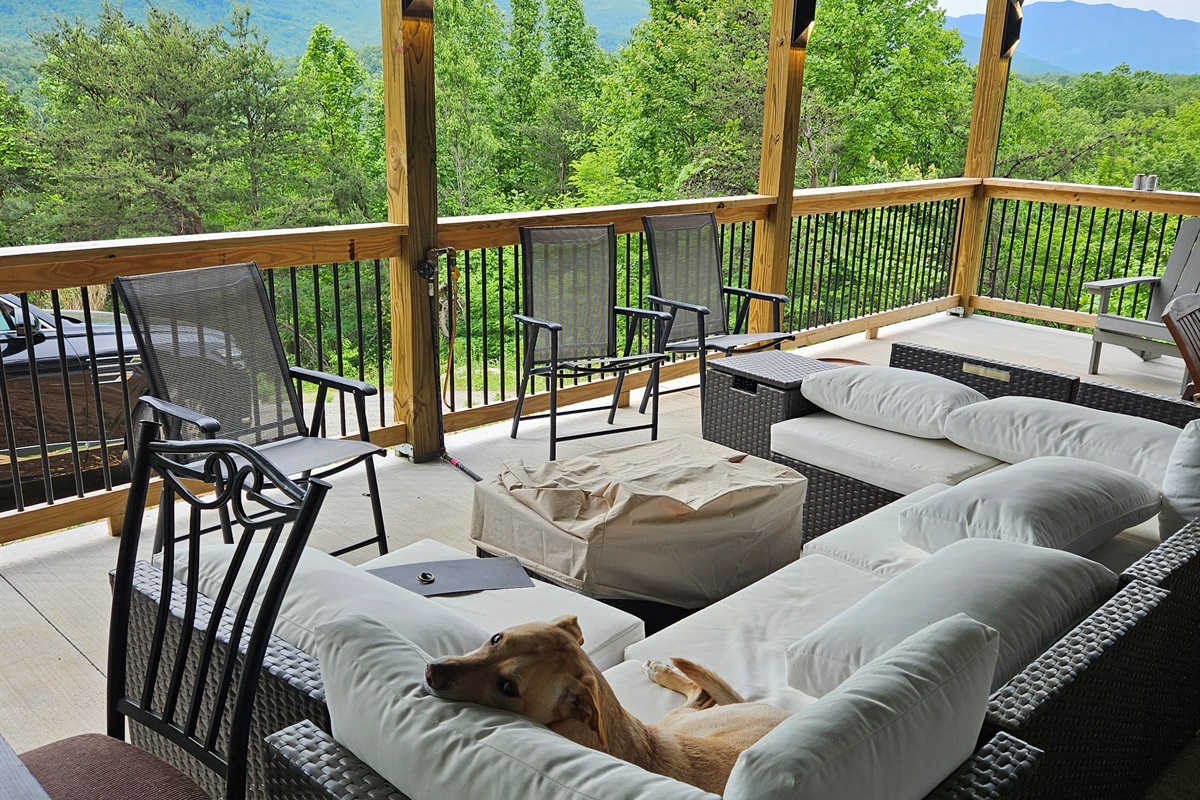 Jake enjoying a snooze on the lower deck.