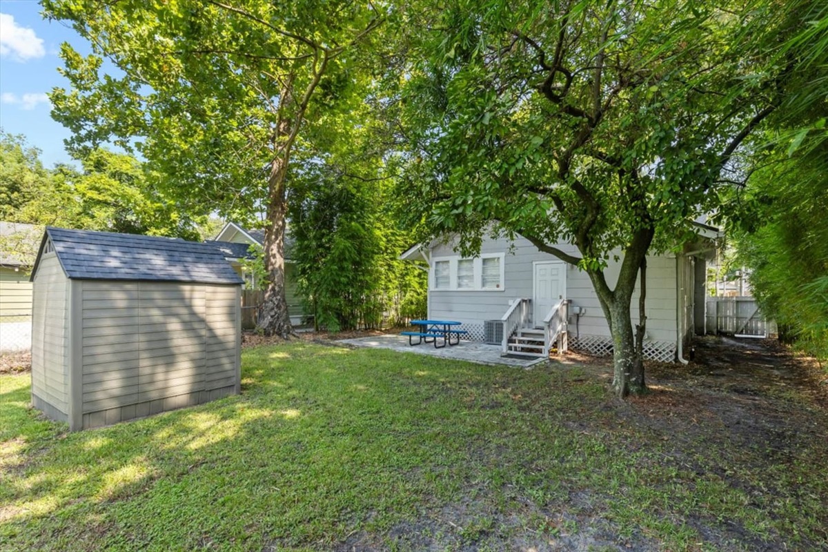 Backyard