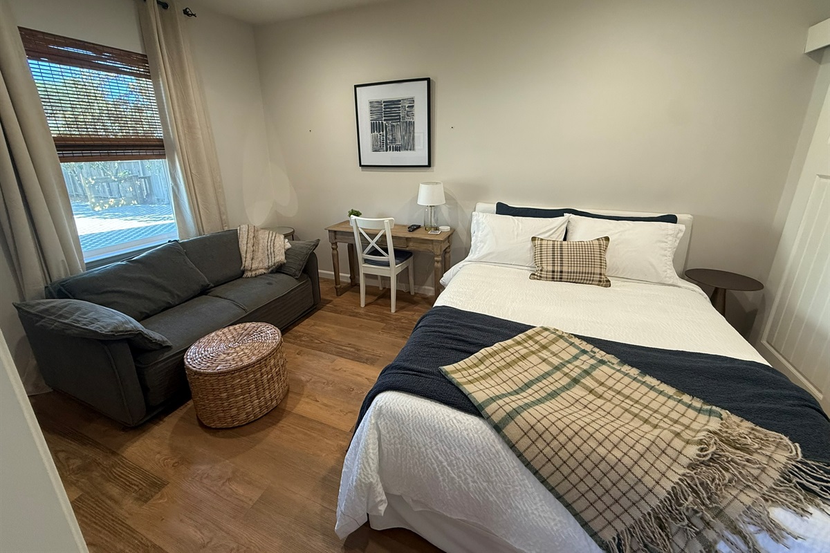 Queen Bed, Sleeper Sofa & Desk