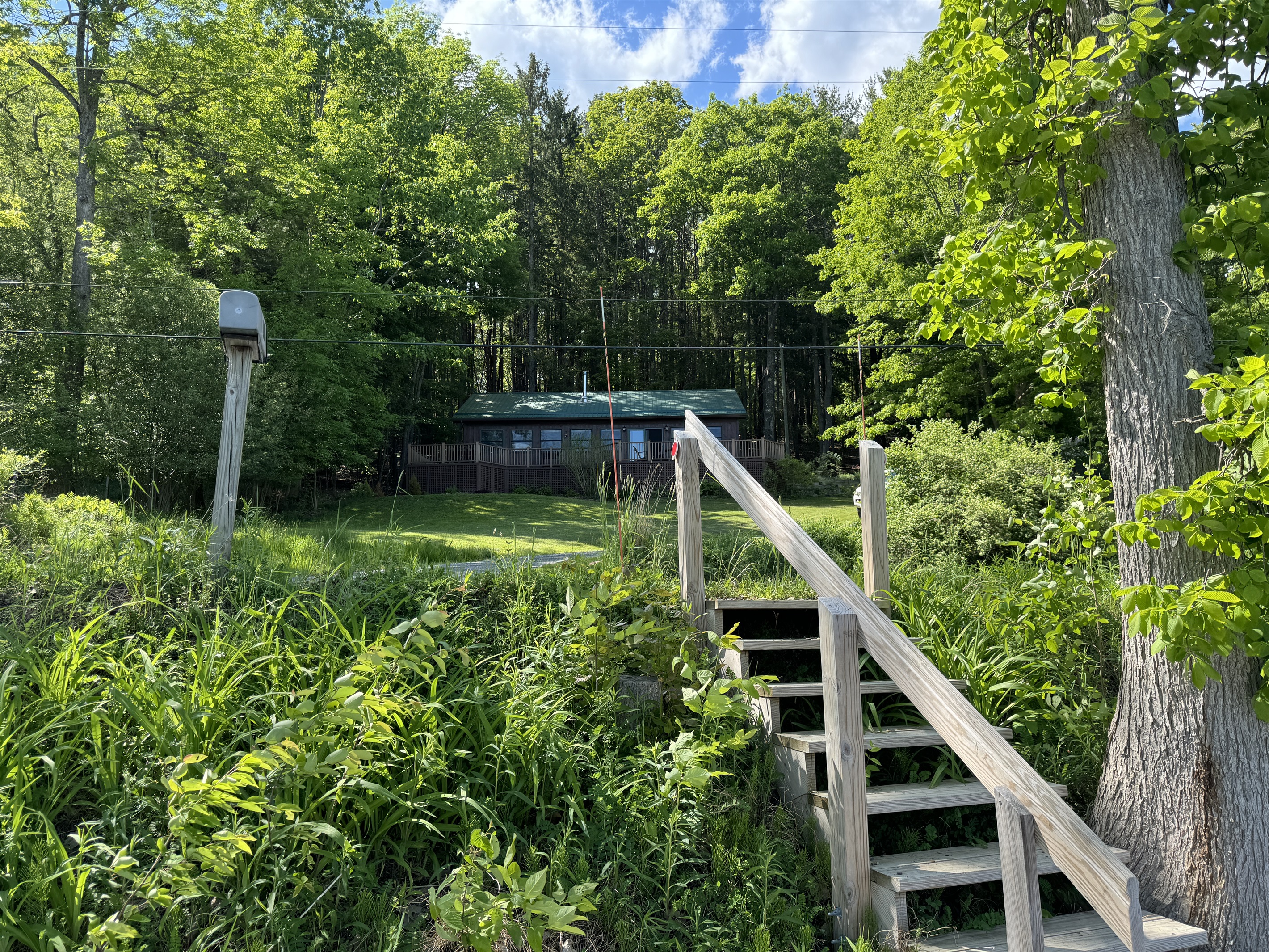 View from the dock looking