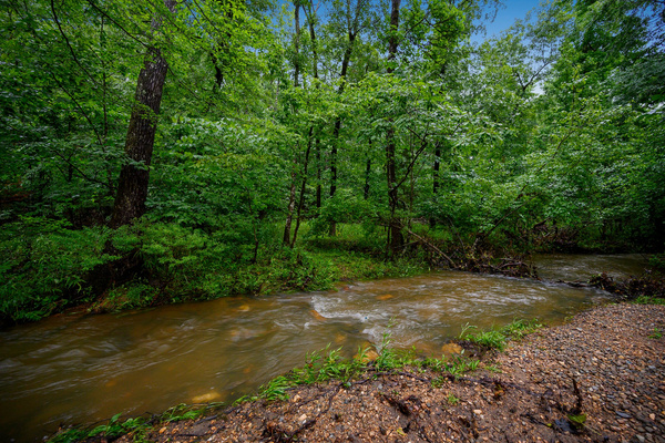 Seasonal creek running behind the cabin