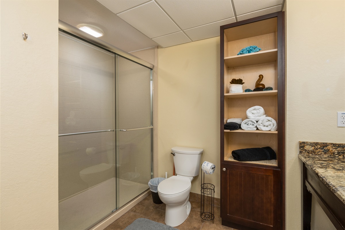 Master Bath with walk-in Shower