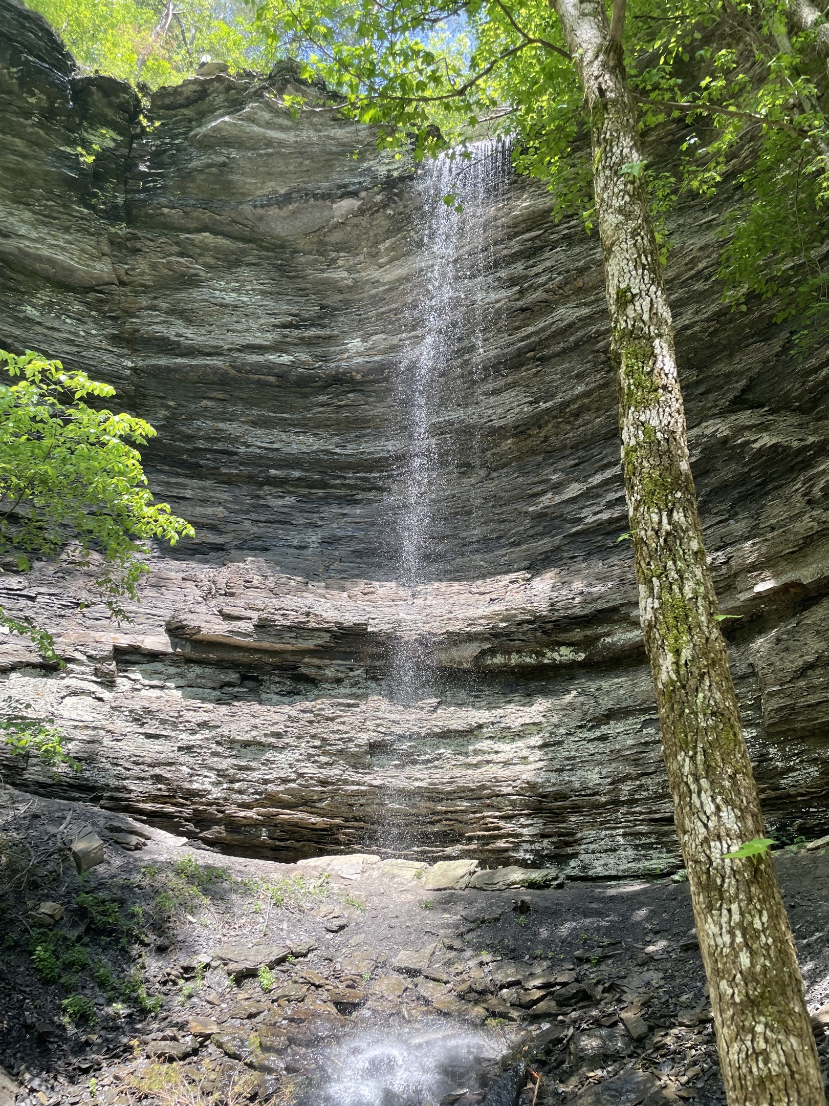 Waterfall Buffalo River Area Hike
