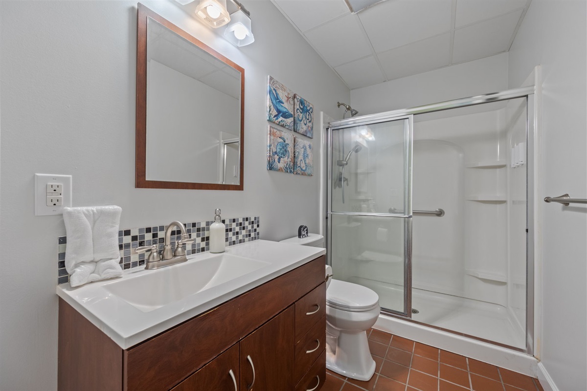 Hallway bathroom with walk in shower and updated vanity