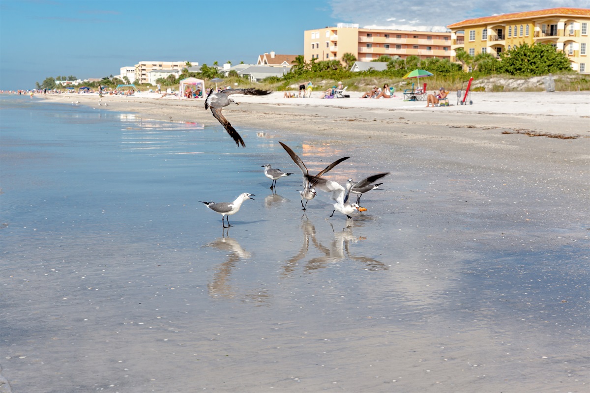 Beautiful White Sandy Beaches