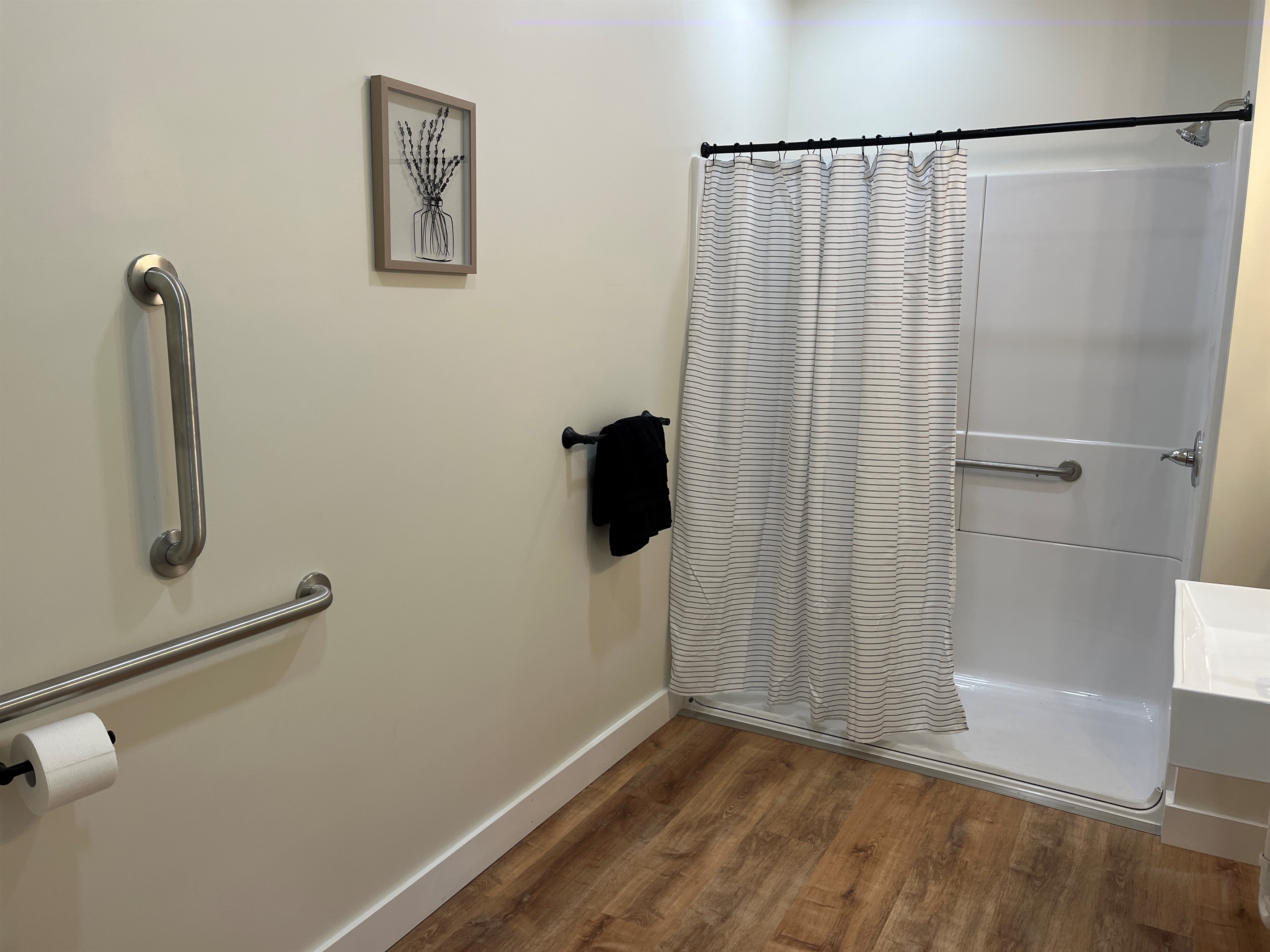 Large ADA bathroom with roll-in shower