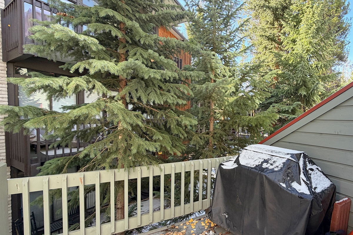 Rear balcony off kitchen with grill, surrounded by soaring pine and spruce trees.