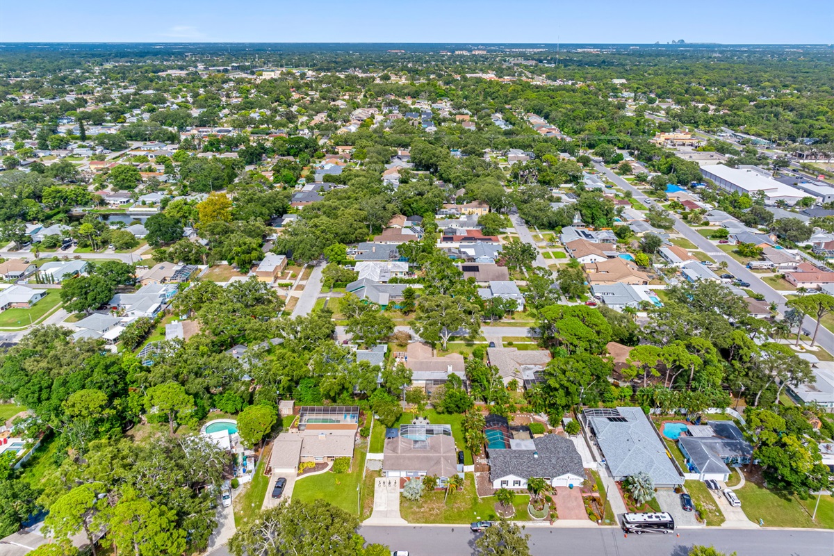 Aerial View of the Neighborhood