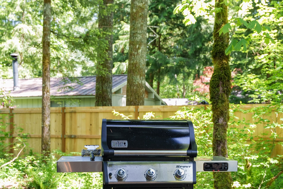 Propane BBQ Grill
