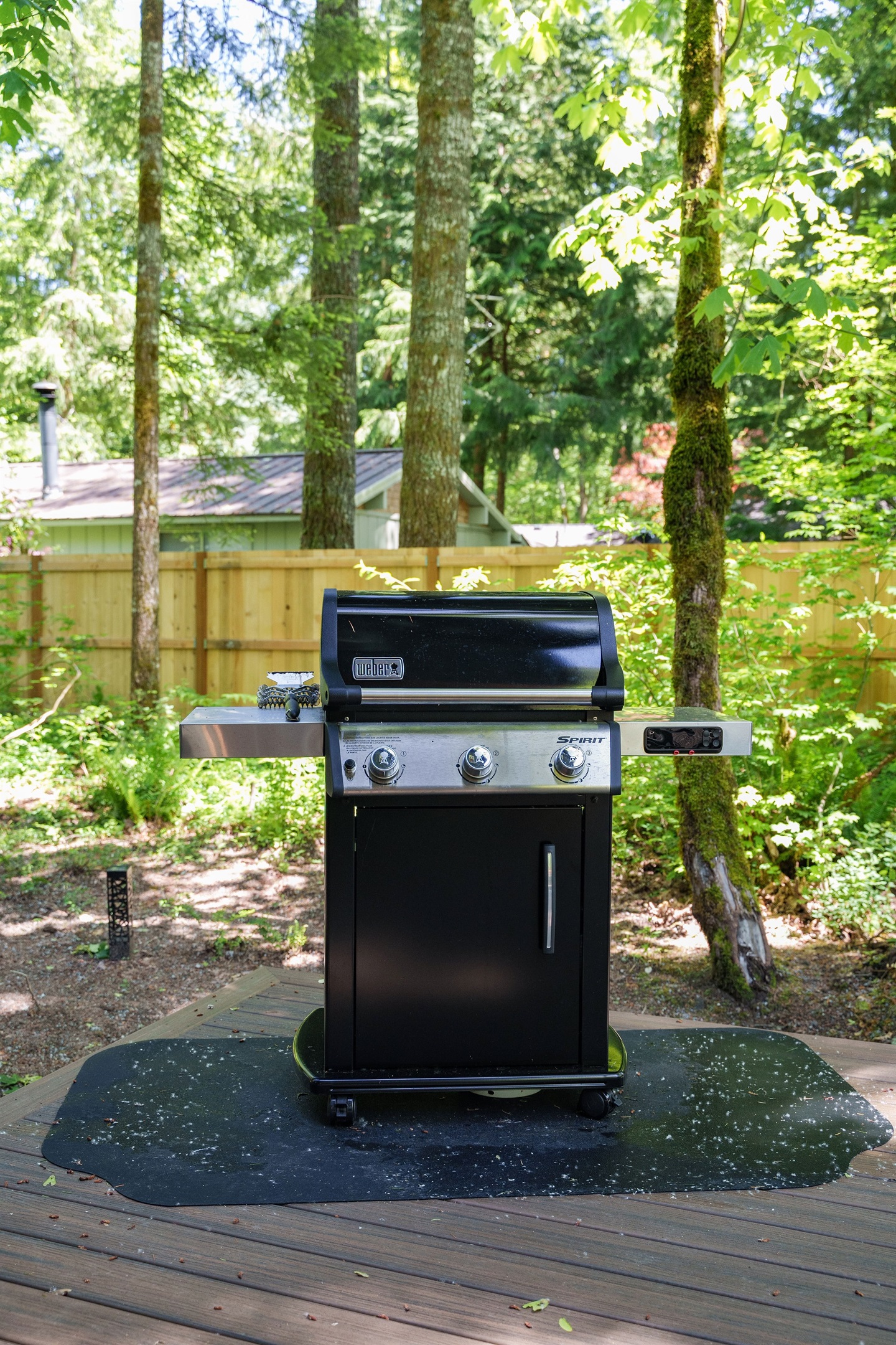 Propane BBQ Grill