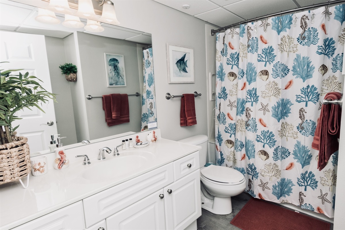 Guest/Hall Bath, with a whole new look, and sporting new adult high toilets in both bathrooms as well. 