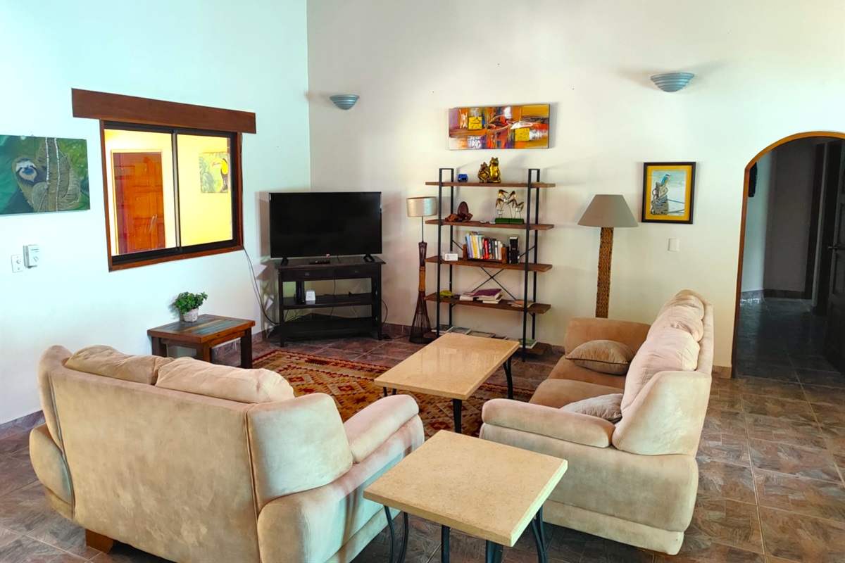 Living Room TV Area