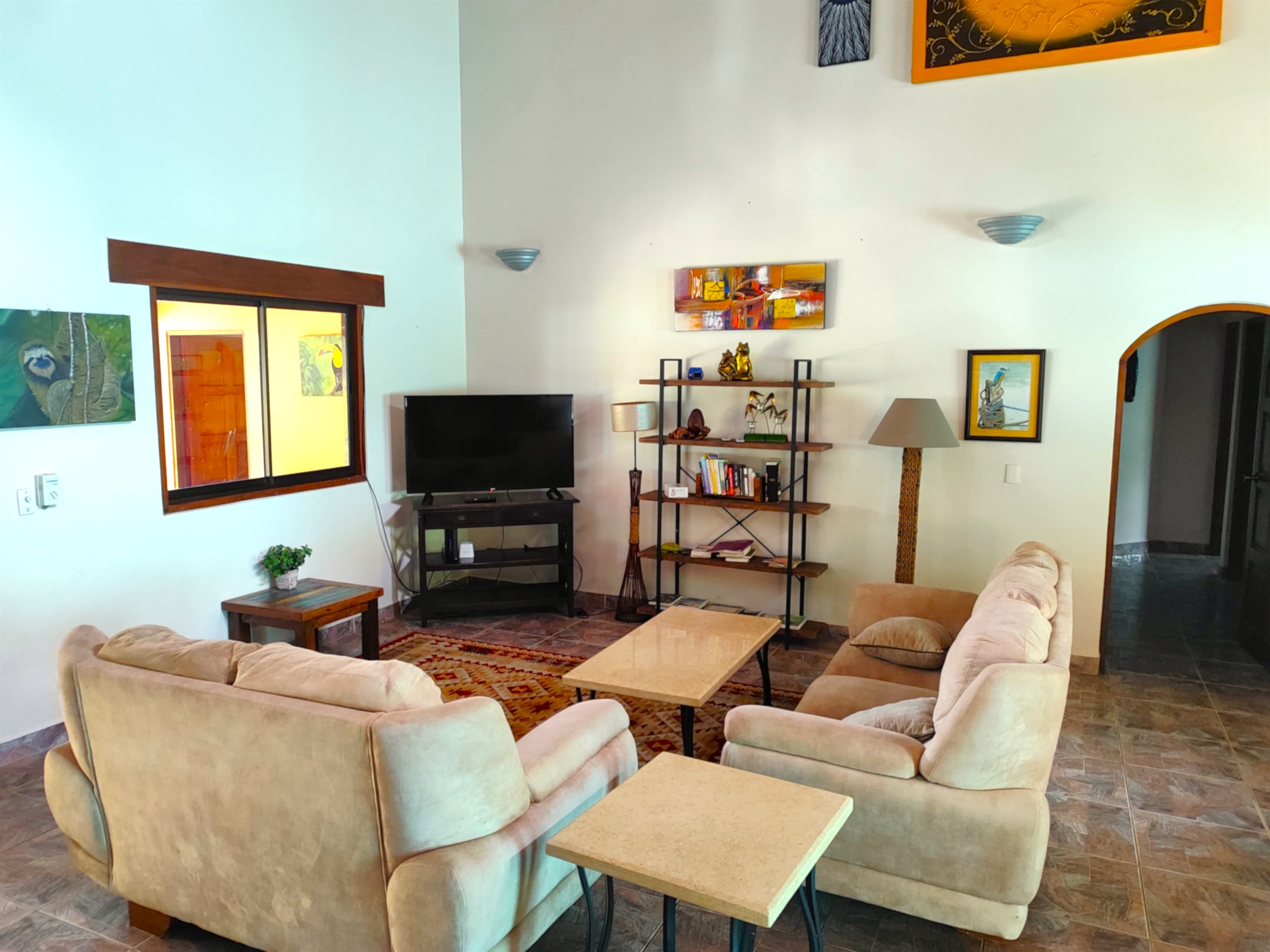 Living Room TV Area