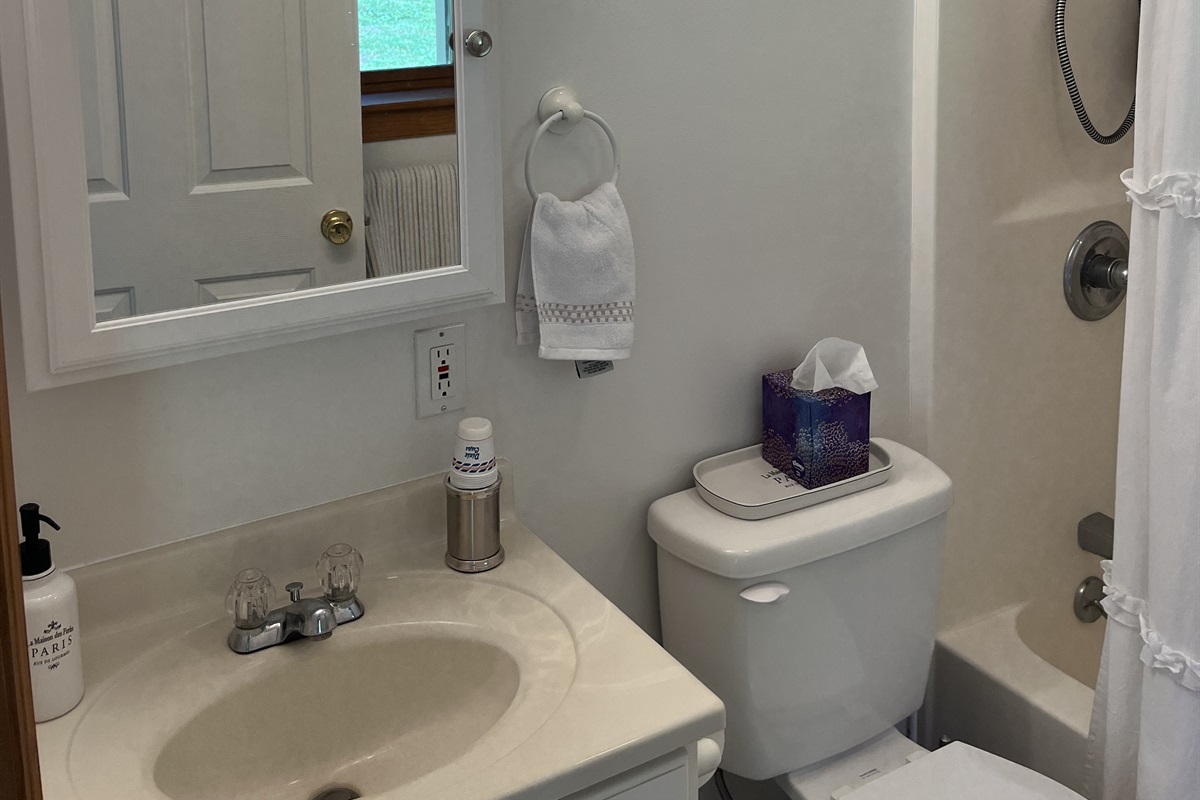 Main level bath with tub/shower