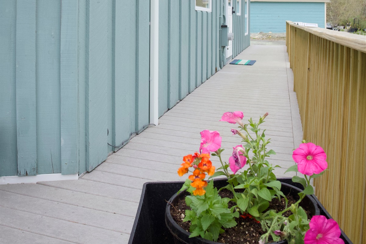 Walkway to driveway