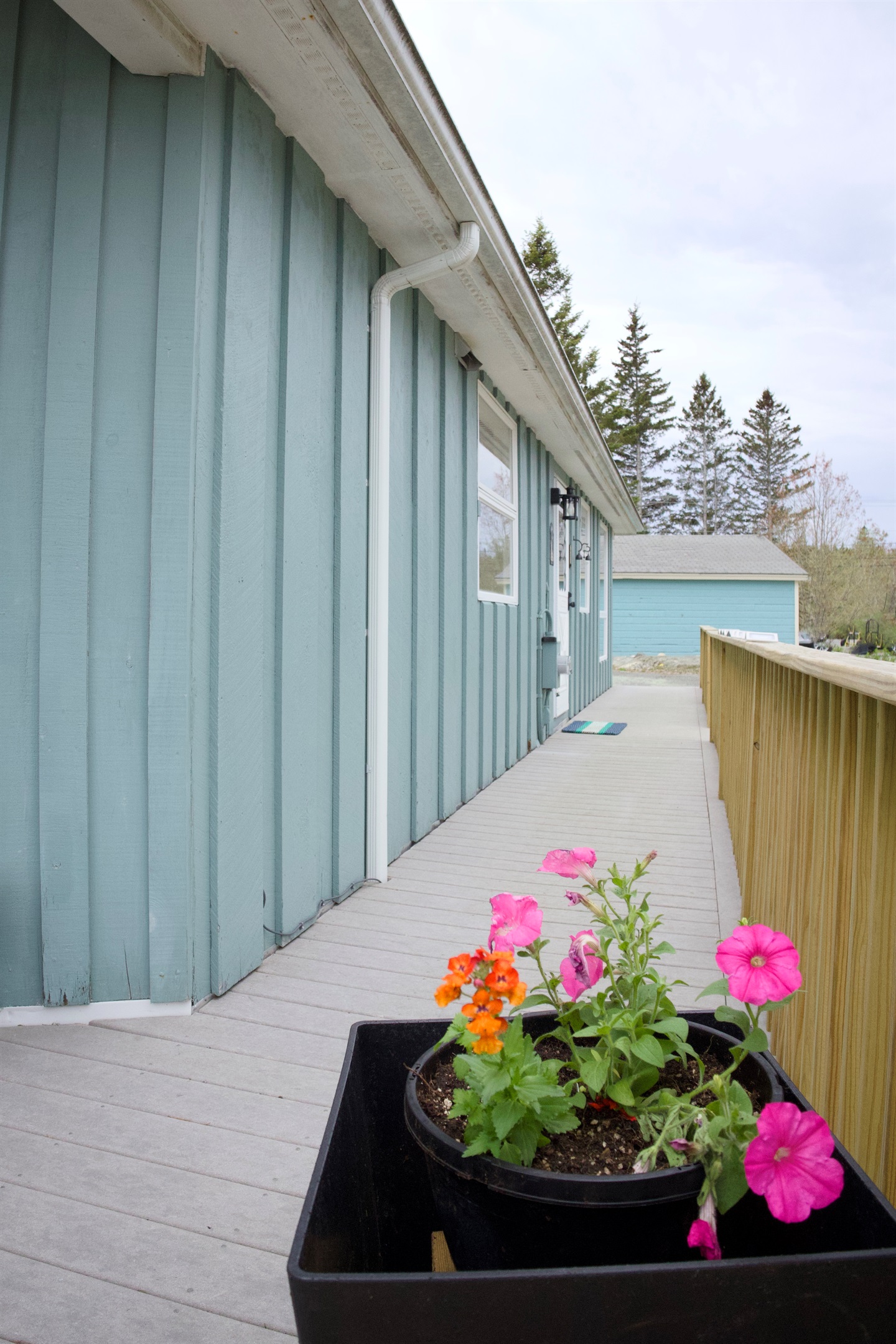 Walkway to driveway