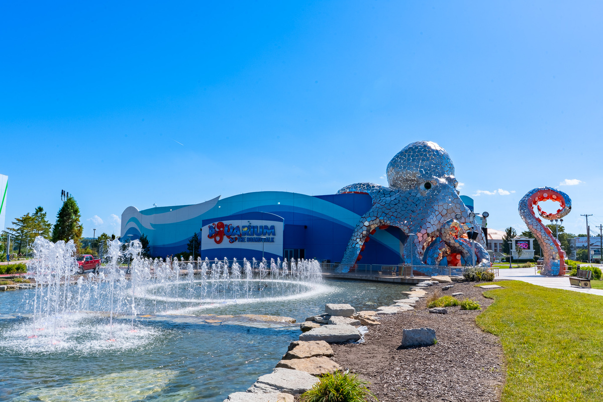 Make some vacation memories at the Aquarium at the Boardwalk, one of the many Branson attractions within easy reach.