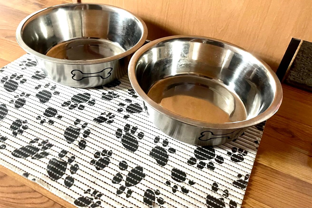 Bring your pet, must have pre-approval with a $50 each per pet, limit two pets