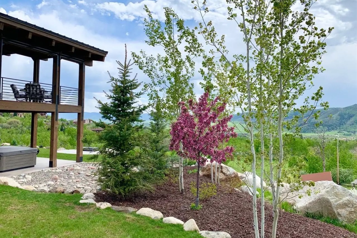 Summer Landscaping