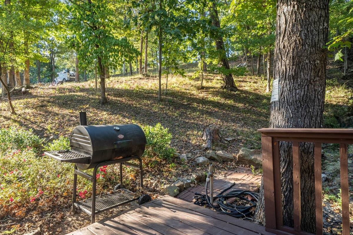 Lots of wildlife passes through here including deer, turkey, foxes, and beautiful birds.  -Back Deck