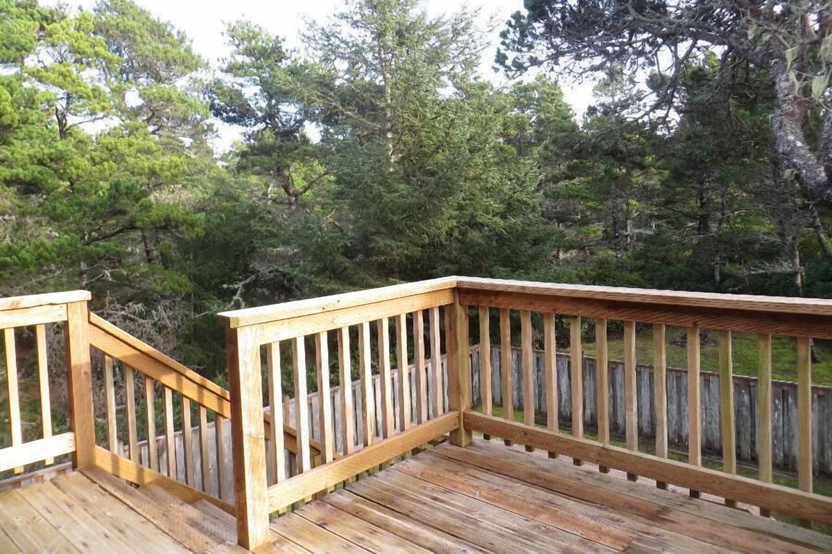 south deck off of dining room - kitchen