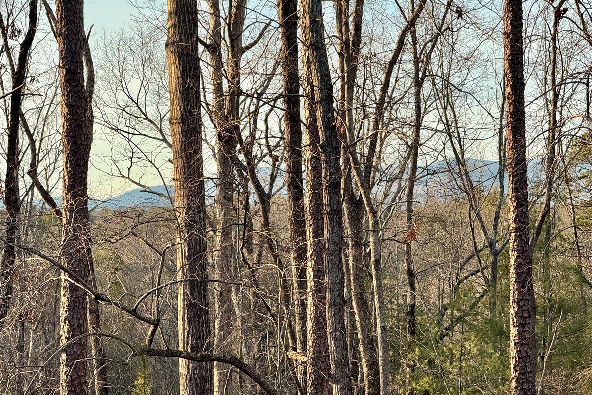 Seasonal Mountain Views