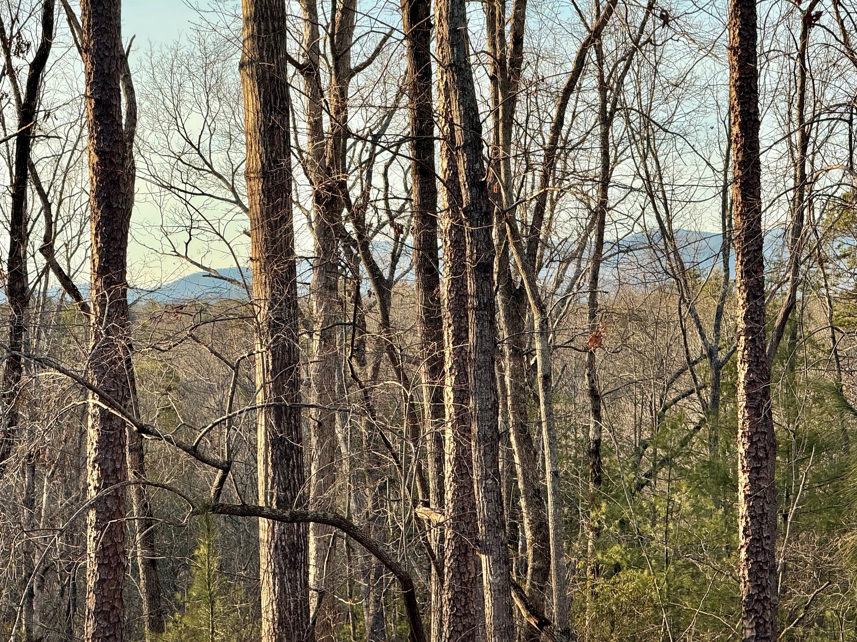 Seasonal Mountain Views
