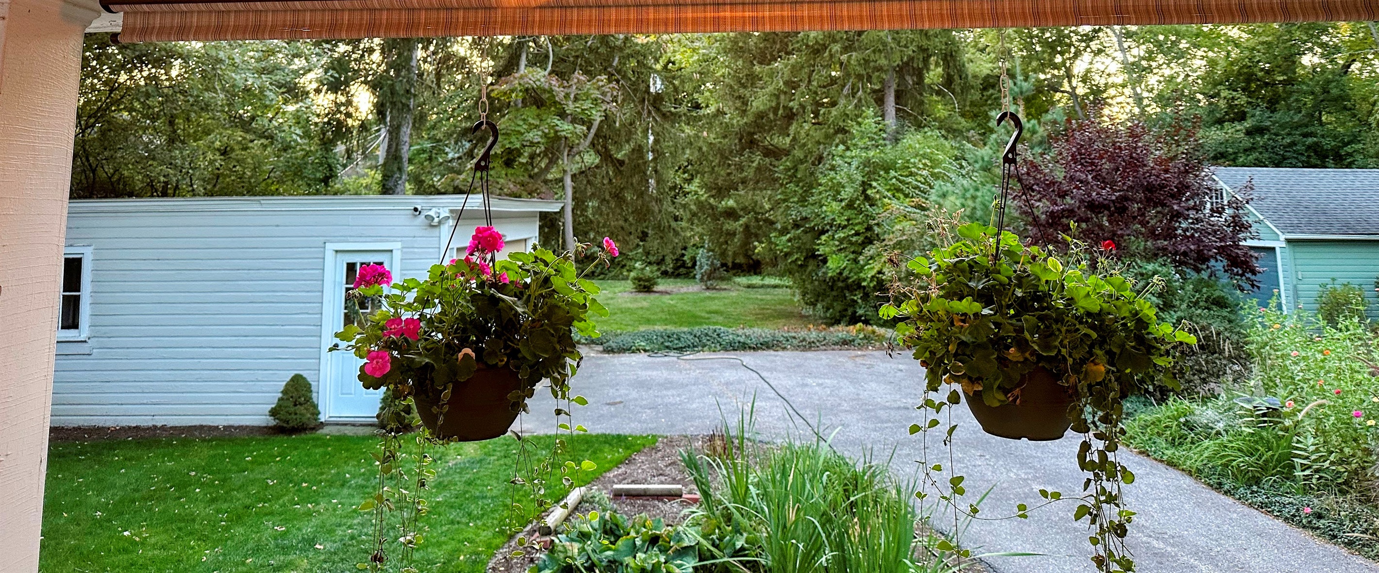 Backyard View from the Porch.