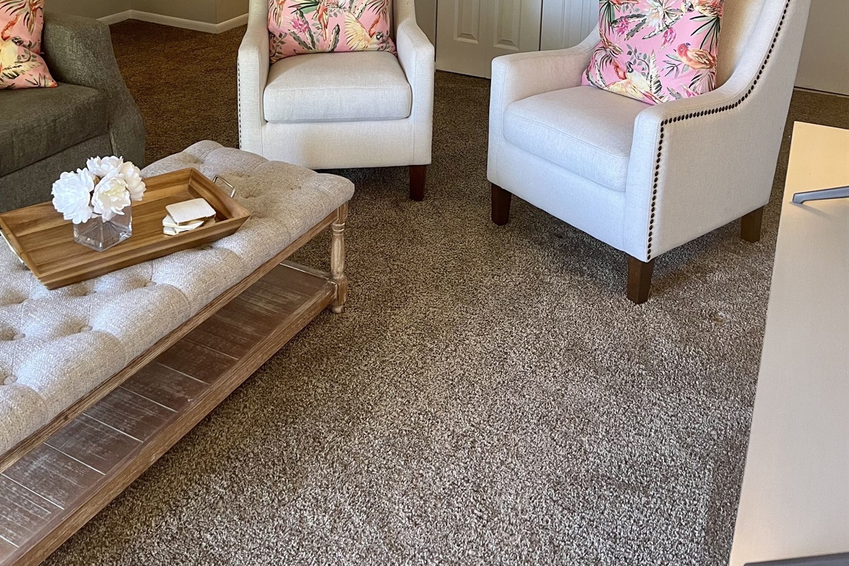 Seating in living room.