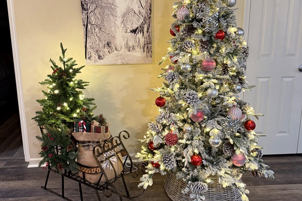 Our tree and sleigh this year