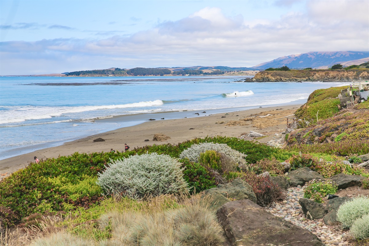 The San Simeon beach