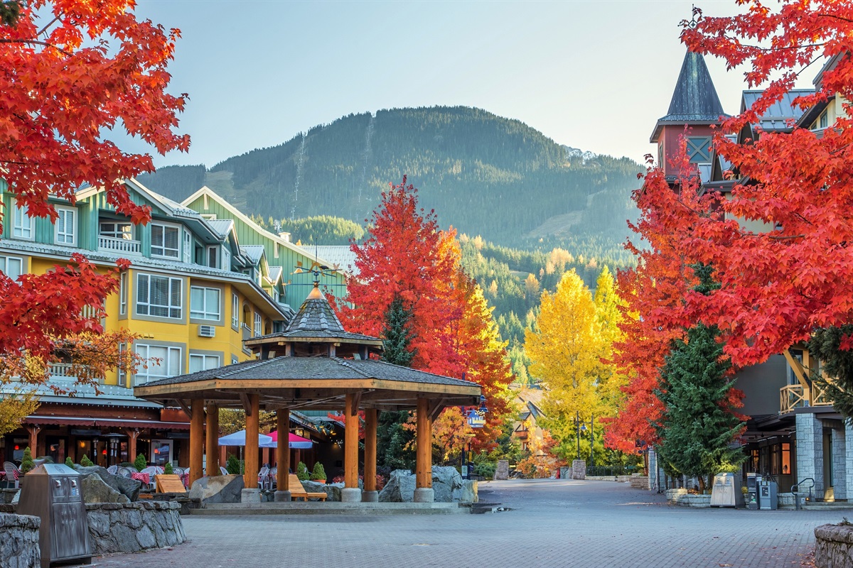 Experience Whistler in fall 2025: jaw-dropping colours + zero crowds. It's time to treat yourself to a fall bonus!