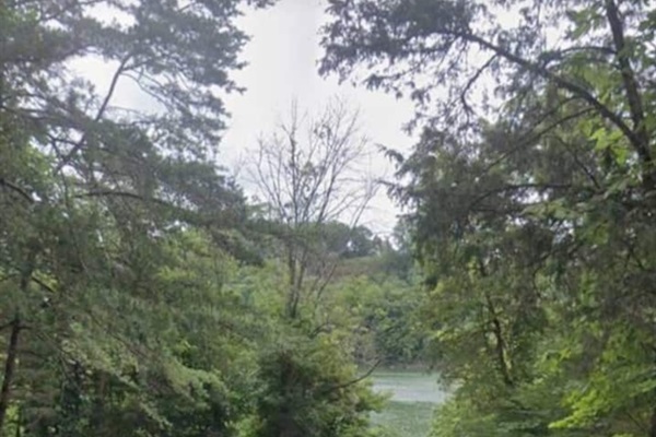 The road from the neighborhood leads past serene surroundings to the ramp and parking areas for lake access.