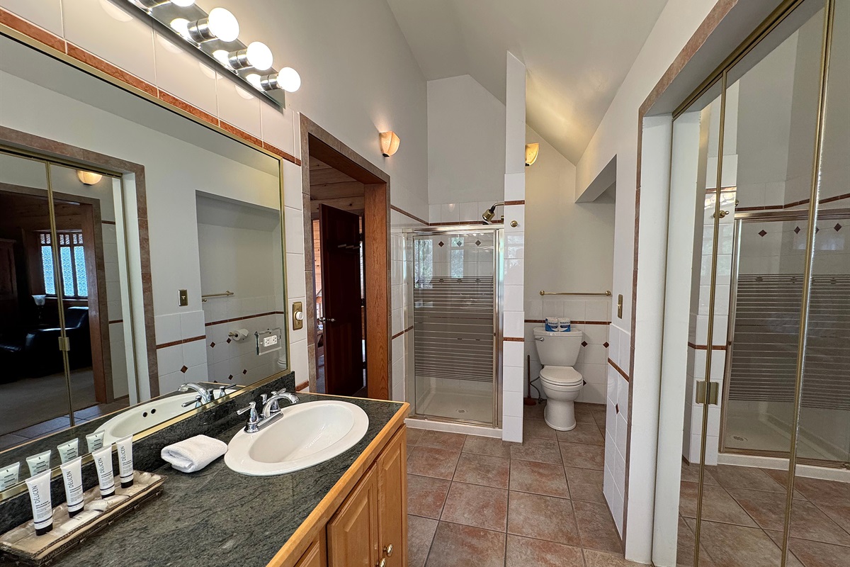 Primary/Master full bathroom with tub and two showers
