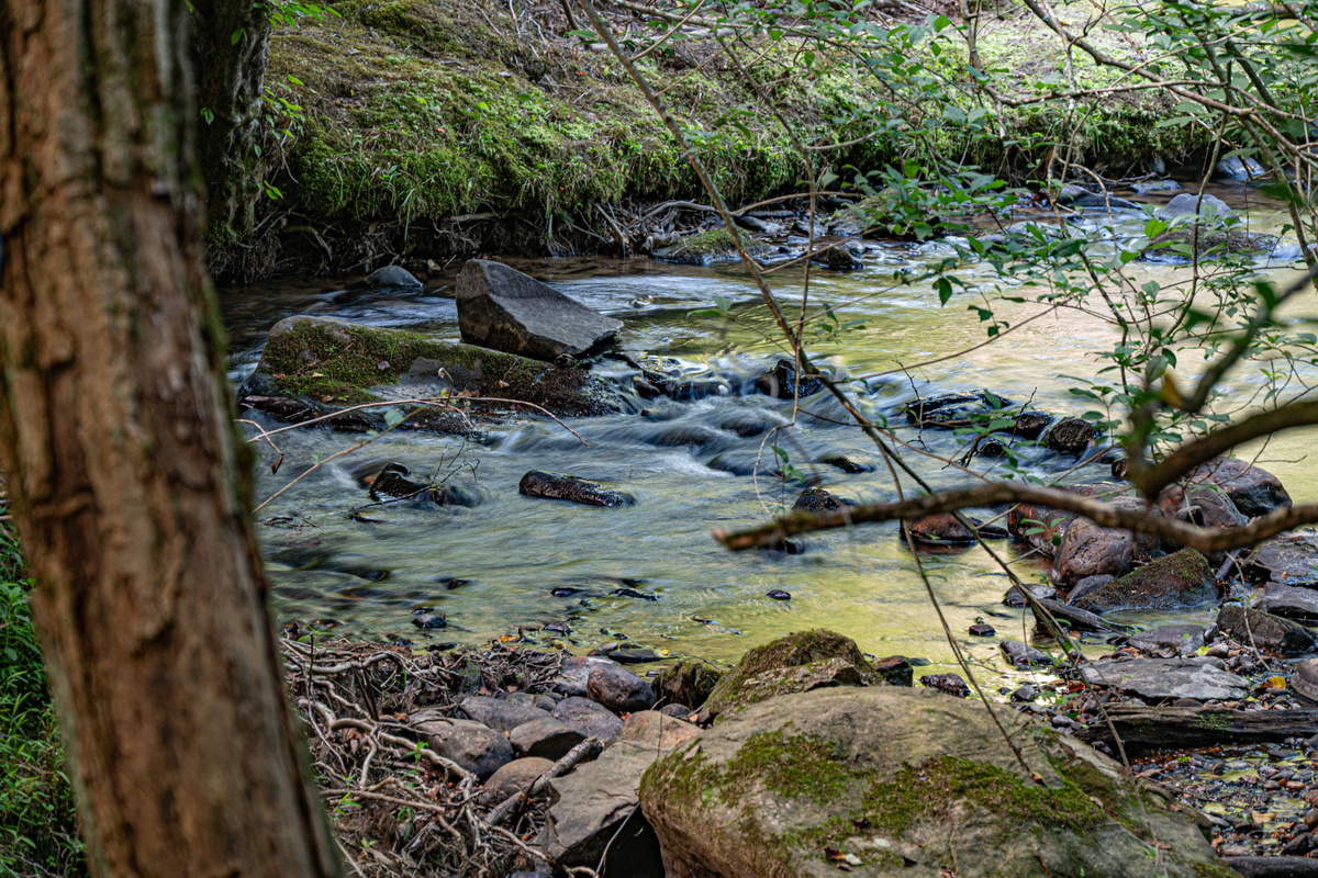 The peaceful sounds of the rushing Cartecay River make this mountain retreat truly unforgettable.